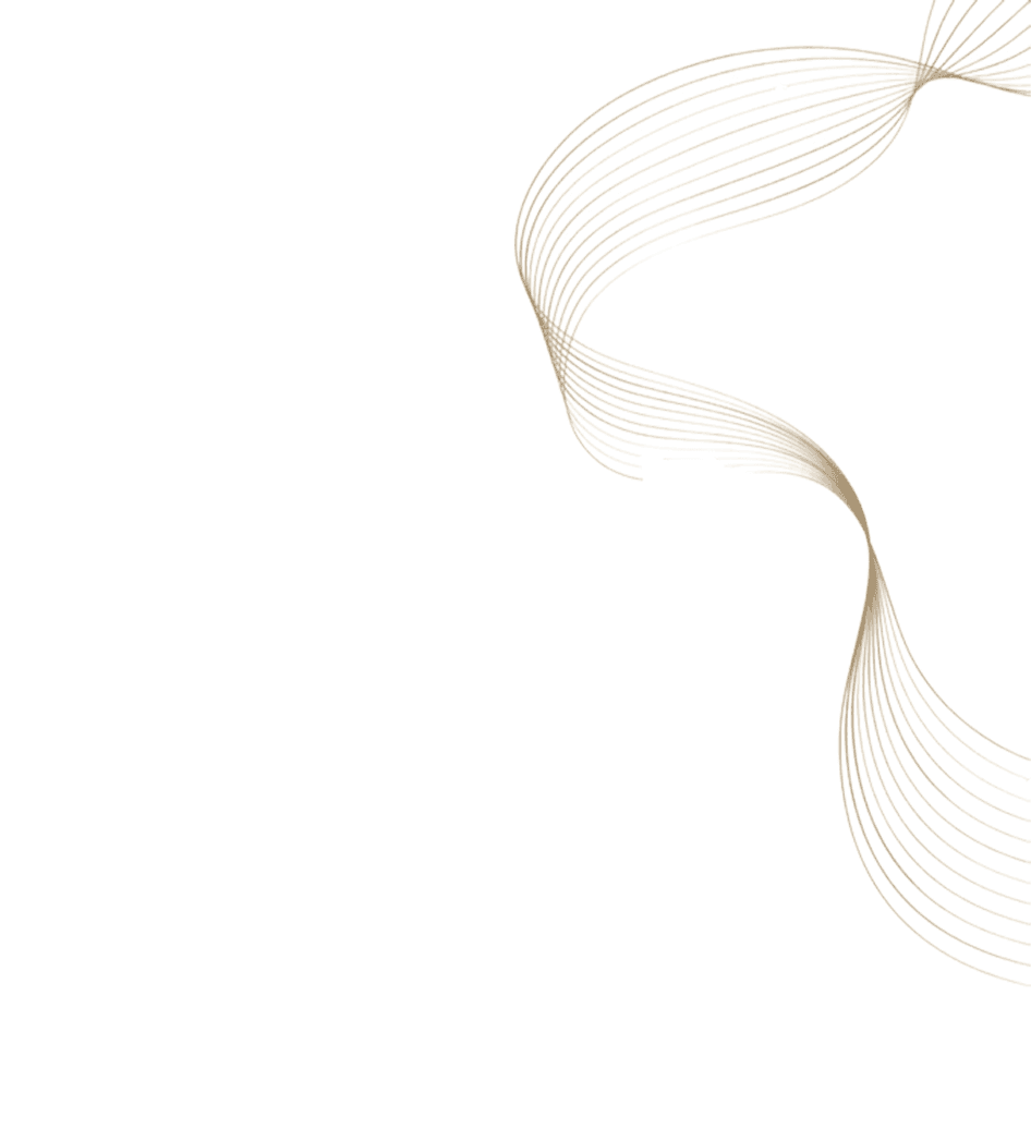 Wireframe vector asset